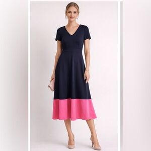 Hobbs London Navy Pink Colorblock Midi Dress Sz 6 Fit & Flare Work Occasion
